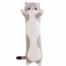 Cat Cuddly Toy