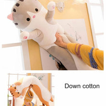 Cat Cuddly Toy