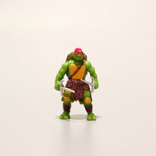 Ninja Turtles Model Toys