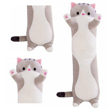 Cat Cuddly Toy